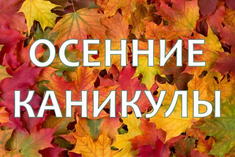 special offer image